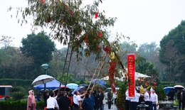 Dựng cây nêu ngày Tết - đánh thức hồn thiêng mùa xuân