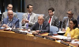 HĐBA LHQ nhóm họp khẩn cấp về vụ Mỹ tấn công Iran