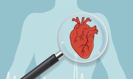 5 nguyên tắc phòng ngừa biến chứng tim mạch ở người bệnh đái tháo đường