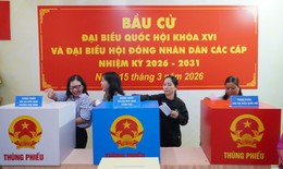 Những điều cử tri cần lưu ý khi tham gia bỏ phiếu