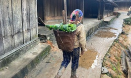 Vòng luẩn quẩn tảo hôn ở miền Tây Nghệ An: Tìm lối thoát khỏi vòng lặp bỏ học, tảo hôn và nghèo đói (Kỳ 3)