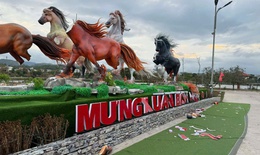 Linh vật ngựa ở vùng biên Quảng Trị mất đầu, gãy chân