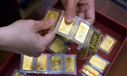 Chốt giá vàng hôm nay ngày 14/3 chưa ngừng giảm cực mạnh
