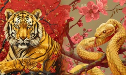 Tử vi 12 con giáp hôm nay 16/3: Hợi hanh thông, Tý màu sắc rực rỡ