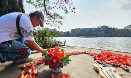 Hồ Gươm bừng đỏ mùa hoa gạo