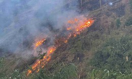 Những nguyên tắc như 'lá chắn thép' phòng chống cháy rừng