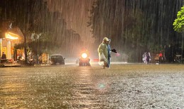 Bão 2026 có thể ít hơn trung bình nhưng rủi ro thiên tai cao hơn