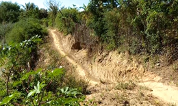 Bờ sông Lu sạt lở, 'nuốt' đường dân sinh, đe dọa đất sản xuất ở Khánh Hòa