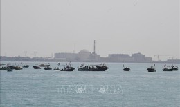 Các hãng vận tải biển lớn đình chỉ hoạt động qua Eo biển Hormuz