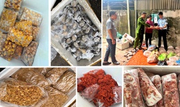 Thu giữ 4 tấn nầm lợn, tràng trứng... không nguồn gốc sắp ‘đổ bộ’ xuống các quán nướng vỉa hè