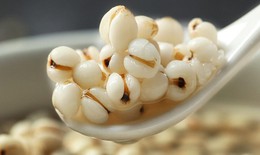 Chứng chán ăn ở người cao tuổi xử trí thế nào theo Y học cổ truyền?