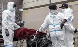 Mỹ: Hơn 155.000 ca tử vong vì COVID-19 không được thống kê