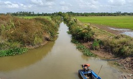 Cảnh báo xâm nhập mặn nghiêm trọng ở Nam Bộ