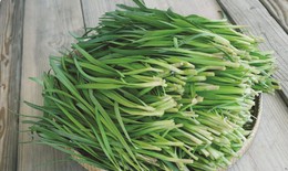 29 bài thuốc chữa bệnh từ cây rau hẹ