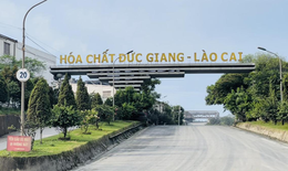 Cổ phiếu DGC của Hóa chất Đức Giang được giải cứu