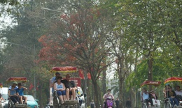 Bắc Bộ nắng ban ngày, đề phòng dông lốc cục bộ