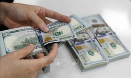 Tỷ giá hôm nay 25/3: Giá USD tăng tại các ngân hàng thương mại