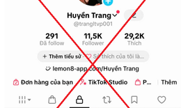 Khởi tố nhóm lừa đảo qua TikTok với chiêu ‘lỗi chuyển khoản’