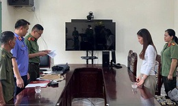 Khởi tố chủ Công ty Logistics Việt Trung lập công ty 'ma', phát hành hóa đơn trái phép