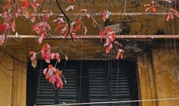 Miền Bắc mưa rải rác buổi sáng, hửng nắng vào trưa chiều