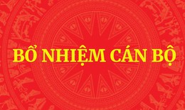 Thủ tướng quyết định nhân sự Bộ Ngoại giao, Bộ GD&amp;ĐT