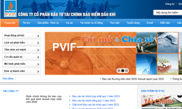 Bảo hiểm Dầu khí vi phạm lĩnh vực chứng khoán