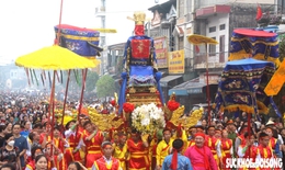 Linh thiêng đền Tranh và những giá trị văn hóa từ lễ hội đặc biệt nhiều người chưa biết