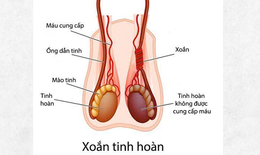 Nam sinh 14 tuổi phải cắt bỏ tinh hoàn do nhập viện muộn