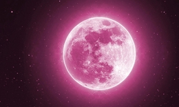 Sắp quan sát Trăng hồng kỳ ảo vào đầu tháng 4