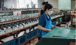 Tơ tằm Á Châu vi phạm chứng khoán