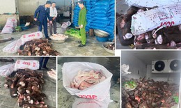 Kinh hoàng loạt thực phẩm bẩn bị thu giữ: Cá khoai nhiễm độc, lợn mắc dịch, nội tạng hôi thối