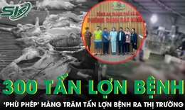 Hà Nội: Phá đường dây ‘phù phép’ 300 tấn lợn bệnh vào trường học, chợ dân sinh