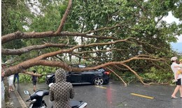 13 người thương vong do dông lốc, mưa đá hàng loạt ở các tỉnh miền Bắc