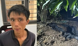 Thông tin bất ngờ về nghi phạm sát hại cụ bà dã man, phi tang thi thể trong vườn ở Hải Phòng