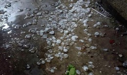 Đêm nay có thể xuất hiện mưa đá, dông lốc, người dân cần chuẩn bị gì giảm thiểu thiệt hại?