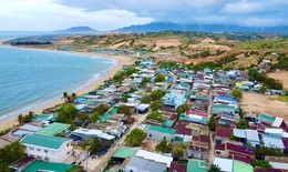 Đề xuất chính sách đặc thù thu hồi đất cho vùng dự án điện hạt nhân Ninh Thuận