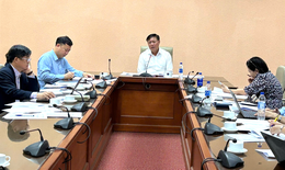 Thúc đẩy tiến độ Thông tư Danh mục bệnh bẩm sinh cần sàng lọc, chẩn đoán, điều trị trước sinh và sơ sinh