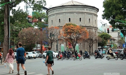 Tháng Ba, ngắm Hà Nội mùa cây thay lá