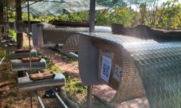 Biến vùng đất khô cằn ở Khánh Hòa thành làng ong Dú trù phú