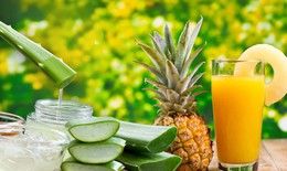 Cách làm sinh tố giảm cân từ nha đam