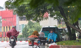 Miền Bắc trời rét, miền Trung mưa kéo dài do tác động của không khí lạnh