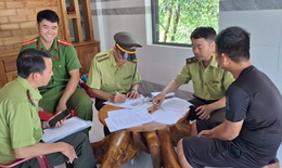 Bất ngờ số người đăng ký sau yêu cầu mang chim cảnh đi cà phê phải chứng minh nguồn gốc