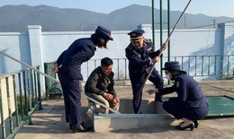 Nghệ An giám sát chặt hoạt động kinh doanh xăng dầu, bảo đảm nguồn cung