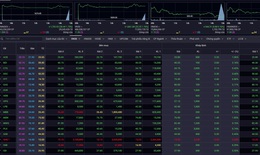 Xu hướng chứng khoán 2/4 nên tăng dần tỷ trọng cổ phiếu