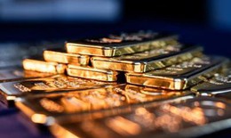 Hội đồng Vàng Thế giới: cuộc đua gom vàng vẫn đang tiếp tục
