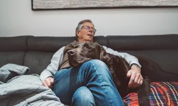 4 rối loạn giấc ngủ có thể là dấu hiệu cảnh báo sa sút trí tuệ