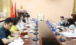 Thứ trưởng Nguyễn Tri Thức trao đổi với chuyên gia cố vấn của JICA: Thúc đẩy hợp tác y tế Việt Nam - Nhật Bản