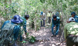 Khánh Hòa bảo vệ ‘lá phổi xanh’, phòng chống cháy rừng cấp 5