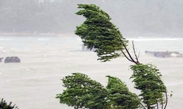 Khả năng xuất hiện bão mạnh trong mùa mưa bão năm nay thế nào?