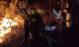 Nắng nóng gay gắt, liên tiếp xảy ra cháy rừng ở Nghệ An